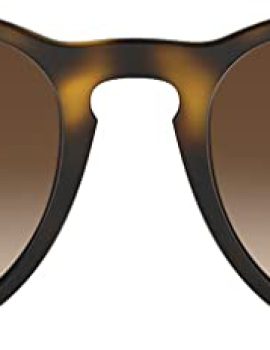 Ray-Ban RB4171 Erika Round Sunglasses